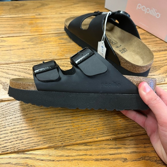 papillio arizona black